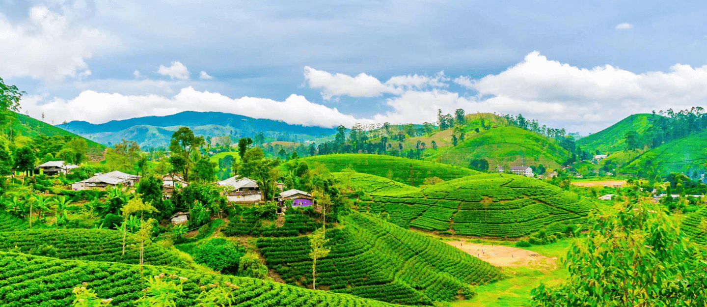 Darjeeling Travel Guide for First-Time Visitors
